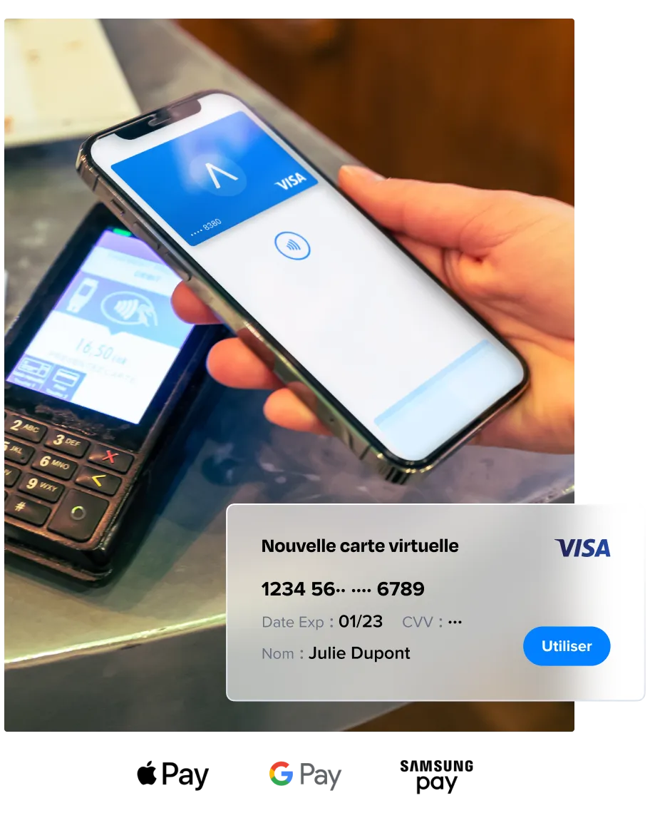 un-card-din-pamer-a-utilizare-share